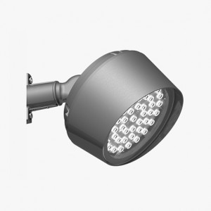 SILED ORTA CONUS RG